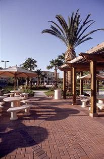Mainsail Tampa Extended Stay Buitenkant foto
